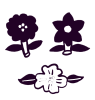 3fleurs triangle