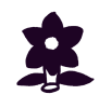 Fleur2